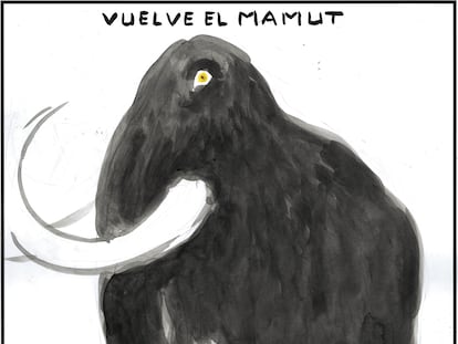 El Roto