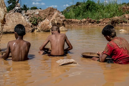 Sentados en charcos de lodo, tres menores mueven bateas -bandejas de madera utilizadas en la minería artesanal- en busca de pepitas de oro que se adhieran al mercurio, contaminante y nocivo para la salud. Imagen tomada en una mina a cielo abierto en la comunidad de El Perú, en El Callao, en el Estado venezolano de Bolívar, el 2 de septiembre de 2023. En esta ciudad, la extracción de oro comienza como un juego entre los pequeños, pero pronto puede convertirse en un trabajo a tiempo completo que, según activistas de derechos humanos, representa una explotación infantil. 