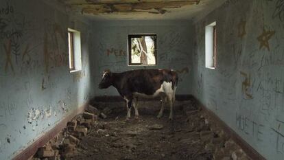 Un fotograma de 'Echo Chamber', de Guillermo Moncayo.