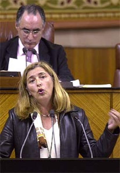 Concha Cabellero, durane su intervención de ayer en el Parlamento.