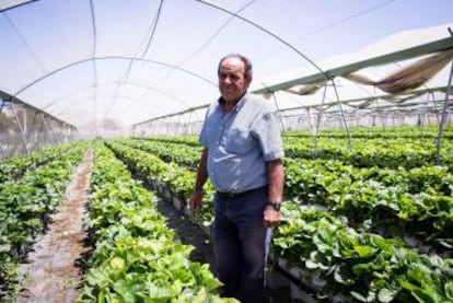 José M. Ortigosa, agricultural businessowner