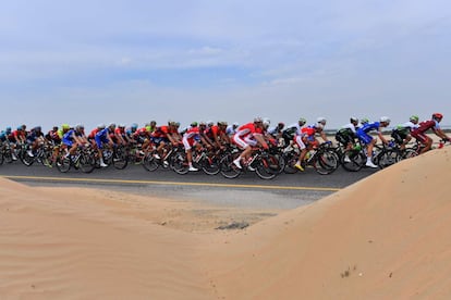 Los ciclistas compiten en la segunda etapa del Tour de Dubai entre Skydive Dubai y Ras Al Khaimah, en la que se impuso el italiano Elia Viviani (Quick Step) y el holandés Dylan Groenewegen (Lotto Jumbo) mantuvo el jersey de líder.