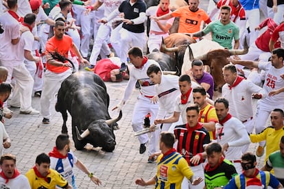 Un astado de la ganadería de Victoriano del Río cae al suelo durante el recorrido, este jueves.