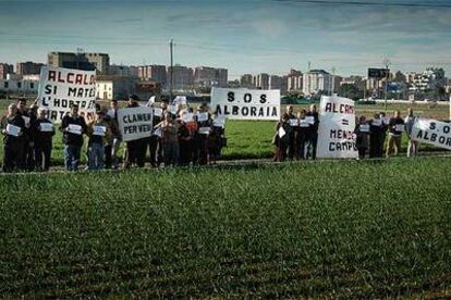 Miembros de Salvem L&#39;Horta, ayer, en la partida de Vera de la huerta de Alboraia.