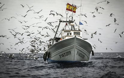 El pesquero 'San Pedro' es uno de los barcos participantes en el proyecto 'Upcycling the oceans' de la Fundación Ecoalf y Ecoembes.