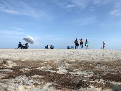 La playa de Gulf Shores (Alabama), contaminada con restos de crudo.
