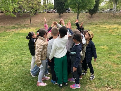 Los alumnos del CEIP Julián San Ibáñez, de Zaragoza, participaron este curso en actividades del programa Naturaliza, de Ecoembes.