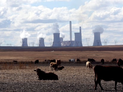 Varias vacas delante de una central eléctrica de carbón en Sudáfrica.