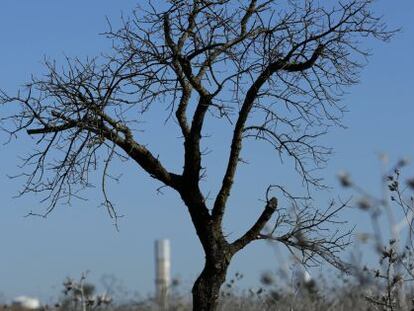 Abengoa afronta una reunión clave con sus bancos para lograr liquidez