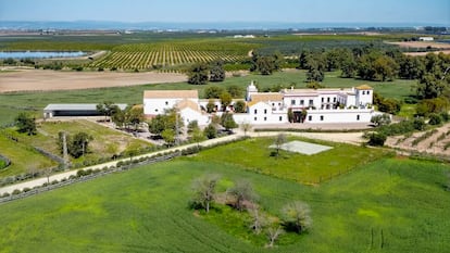 Finca en Carmona, Sevilla.