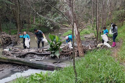 Un grupo de voluntarios limpia las aguas contaminadas del río Chico de los Remedios, en Naucalpan, Estado de México