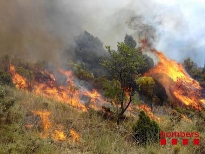 Un incendi crema 15 hectàrees a Gratallops.