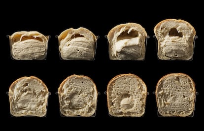 Secuencia de horneado del pan, foto del interior del libro 'Modernist Bread', de Nathan Myhrvold y Francisco Migoya (Phaidon).