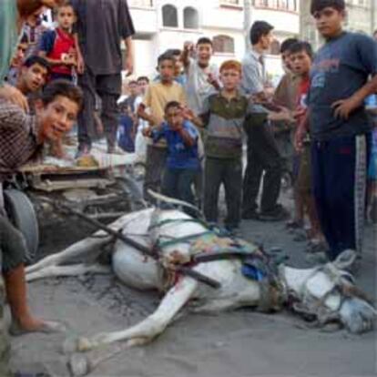 Varios niños posan en el lugar del ataque, en el que el carro de un palestino, tirado por un burro, ha resultado alcanzado.