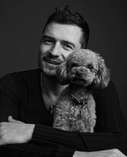 Orlando Bloom lleva jersey DOLCE & GABBANA. Desconocemos todavía el nombre del caniche y su relación con el actor inglés.