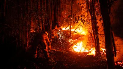 El fuego arde a sus anchas en la España vaciada