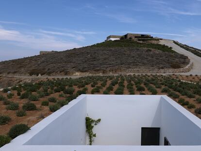 Cada uno de los cuatro patios blancos que iluminan la casa se percibe a vista de pájaro como un agujero en el paisaje. La cubierta está sembrada de vegetación que aísla térmicamente y camufla la vivienda en el entorno rural.
