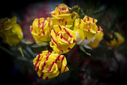 Rosas con los colores de la bandera catalana en Las Ramblas.