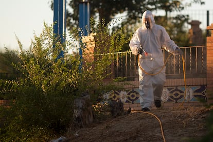 Un operario trabaja en labores de fumigación de mosquitos en zonas verdes de la localidad sevillana de La Puebla del Río.
