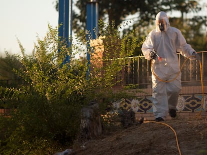 Un operario trabaja en labores de fumigación de mosquitos en zonas verdes de la localidad sevillana de La Puebla del Río.