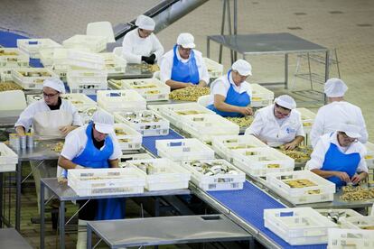 Trabajadoras de Conservas de Cambados