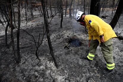 Un técnico del Infoca inspecciona los rastros del fuego donde se originó.