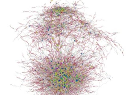 En esta imagen parcial de la red Friendster, cada color se corresponde con una orientación sexual.