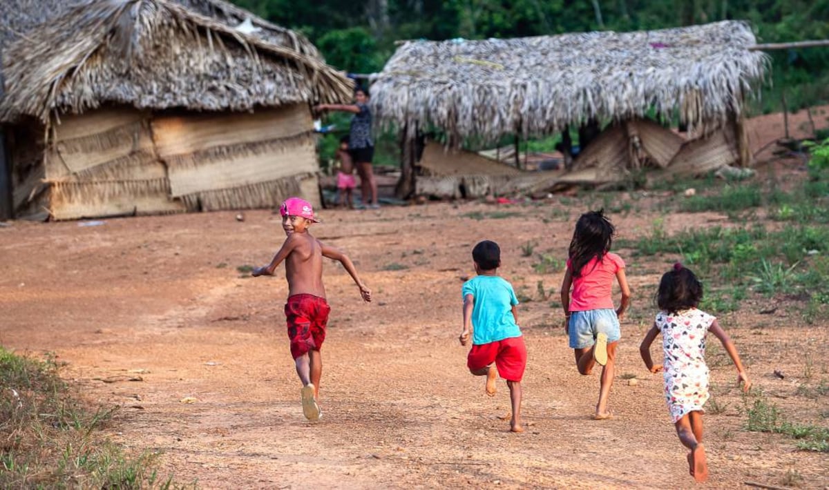 Indigenous people of the Amazon reclaim their traditional…