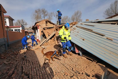 Members of the Blue Sky Rescue team work with rescue dogs as they search through the rubble at Hanshanjia village following the earthquake in Jishishan county, Gansu province, China December 19, 2023.