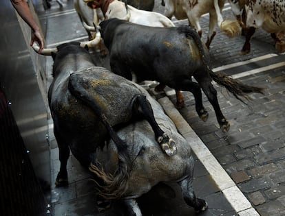 La manada de la ganadería de José Escolar Gil durante el tercer encierro de San Fermín 2016.