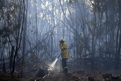 En período estival, los incendios de maleza y monte bajo son frecuentes en Australia, pero este año empezaron de forma precoz. Este inicio de temporada de verano austral ha sido dramático, pero los científicos están preocupados por lo que podría ocurrir en los próximos meses. En la imagen, un bombero en una zona residencial de Sydney, el 12 de noviembre.