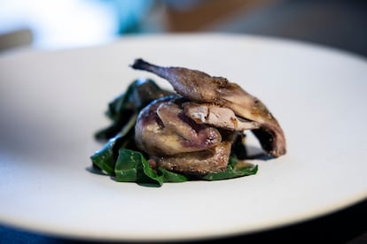 Codorníz braseada con bleda y aceite de ceps.  