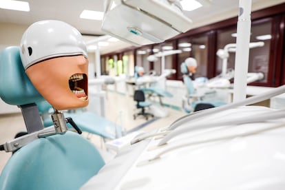 Maniquíes del taller de higiene bucodental en el área de FP del IES Las Musas en Madrid. 