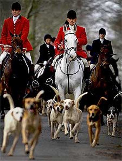 Imagen tradicional de la caza del zorro utilizando una jauría de perros.