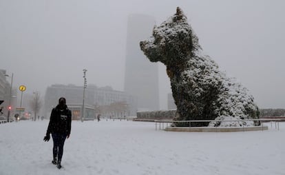 Puppy la escultura junto al museo Guggenheim de Bilbao, cubierta de nieve, donde hoy la capital vizcaína amanecido cubierta de nieve, afectando al tráfico y a colegios, el 28 de febrero.