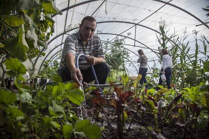 “He pasado muchos años trabajando como economista en una oficina y ahora me encantan los trabajos manuales de este tipo. Es más agradecido. Además es muy emotivo para mí. Los pepinos y tomates son sembrados con semillas que mi familia me ha enviado desde mi casa, en Siria”, comenta Raif Alnachawati mientras riega su pequeña parcela.