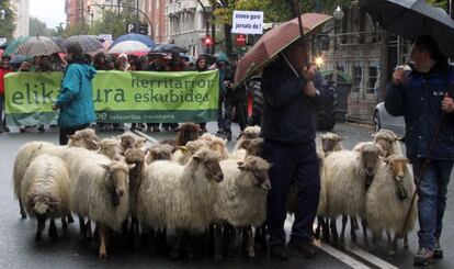 Un grupo de ovejas abre la marcha por la Gran Vía de Bilbao.