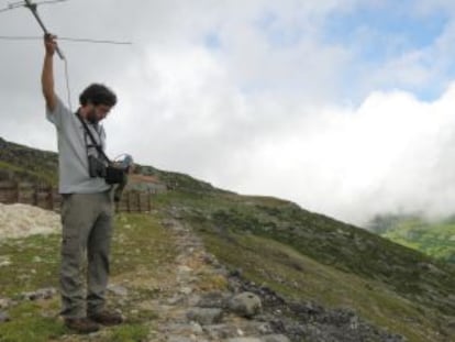 Radioseguimiento de ejemplares de quebrantahuesos reintroducidos en los Picos de Europa.