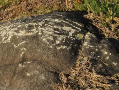 Daños en el petroglifo de Campo Lameiro.