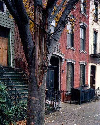 En 1967, Patti Smith y Robert Mapplethorpe buscaban un lugar donde vivir cuando encontraron un apartamento en el edificio de ladrillos rojos en 160 Hall Street, Brooklyn. Pagarían 80 dólares al mes.
