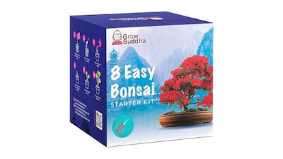 Kit para cultivar bonsais sobre fondo blanco.