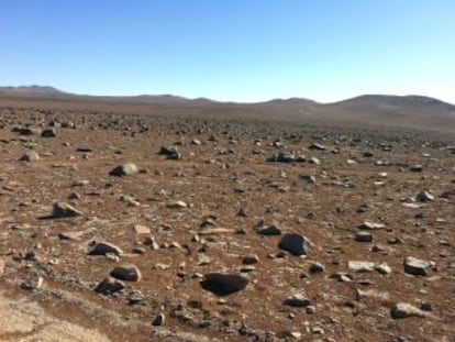 Hallan bacterias, hongos y virus en áreas del desierto de Atacama donde no llueve en años