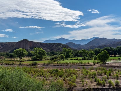 Litio en Bacanuchi, Sonora México