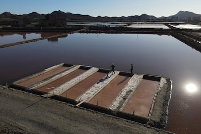 Terrenos de las salinas de Marchamalo adquiridos por los ecologistas. 