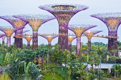 Singapur cumple en 2015 medio siglo como país independiente y lo celebrará como siempre lo ha hecho: recibiendo a millones de viajeros, con novedades como Marina Bay, un nuevo barrio de ocio para toda la familia que incluye los espectaculares Gardens by the Bay (en la foto).