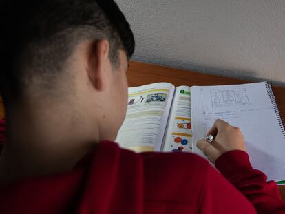 Un menor realiza sus tareas de clase en su habitación.