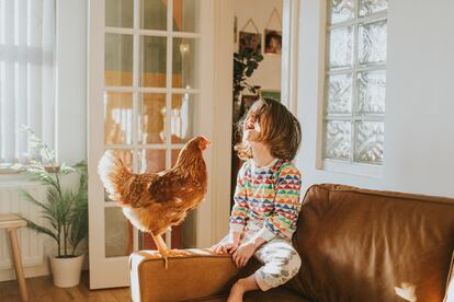 Una niña ríe frente a una gallina en el salón de su casa.