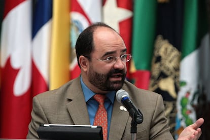El secretario ejecutivo de la CIDH, Emilio Álvarez Icaza.