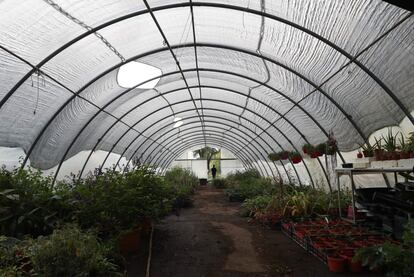 Invernadero del vivero de la cooperativa Eta Beta en su sede, a unos cuatro kilómetros del centro de Bolonia. Una de las actividades económicas con las que esta cooperativa se financia es la venta de plantas en el mercado del Novale, de Slow Food.