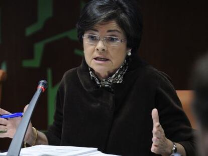 Belén Greaves, en una comparecencia en el Parlamento vasco. 